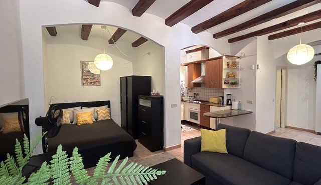 Spacious 1850 Raval 46m Loft. Ideal for Couples and Digital Nomads. Pet-Friendly