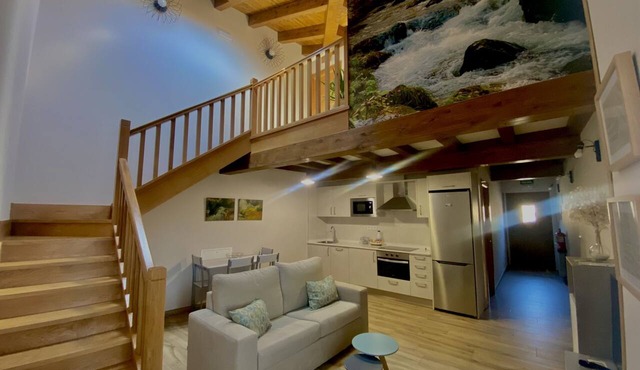 Spacious Duplex Apartment