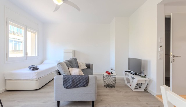 Studio Apartment 'Loft Del Ter' with Wi-Fi and Air Conditioning