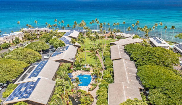 Updated Studio, AC, steps to beach in Lahaina
