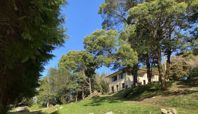 Vrbo Property