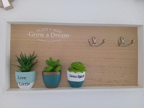 Apartamento Minerva - Azahara