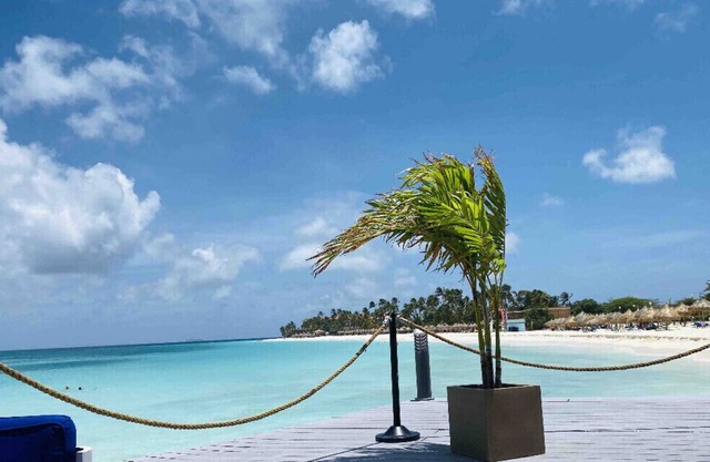 Eagle Beach Condominiums Lime