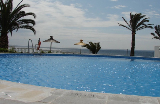 Palmeras 31 Menyber