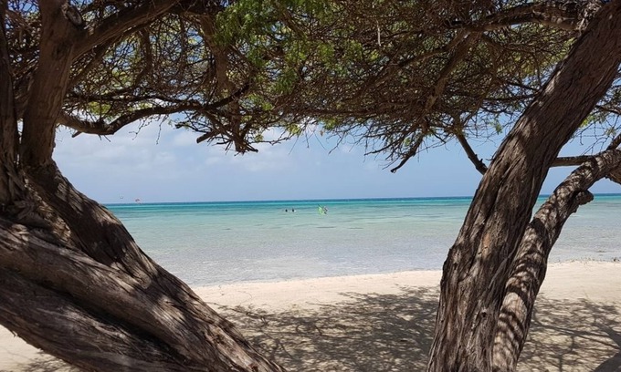 Hadicurari Beach Apartment | Aruba Beach Villas