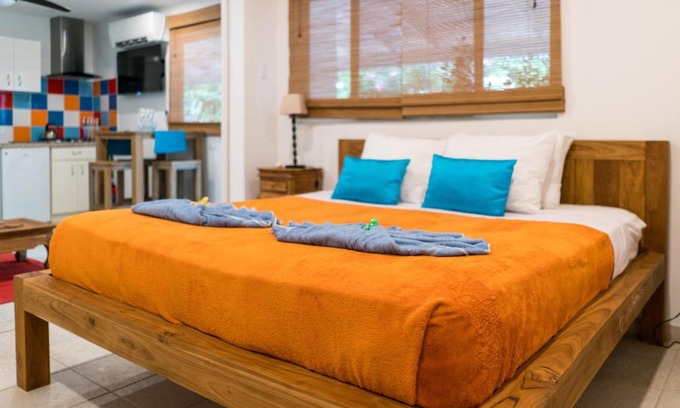 Noord House | Cas Elizabeth