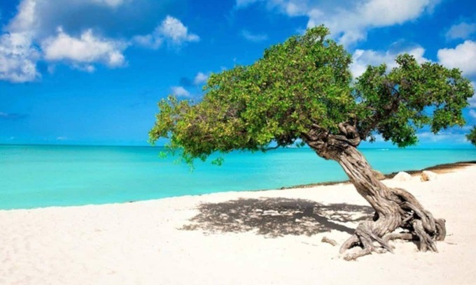 Opal Condo | PRIME LOCATION - 3 min from Ritz Carlton, Fast Wifi!