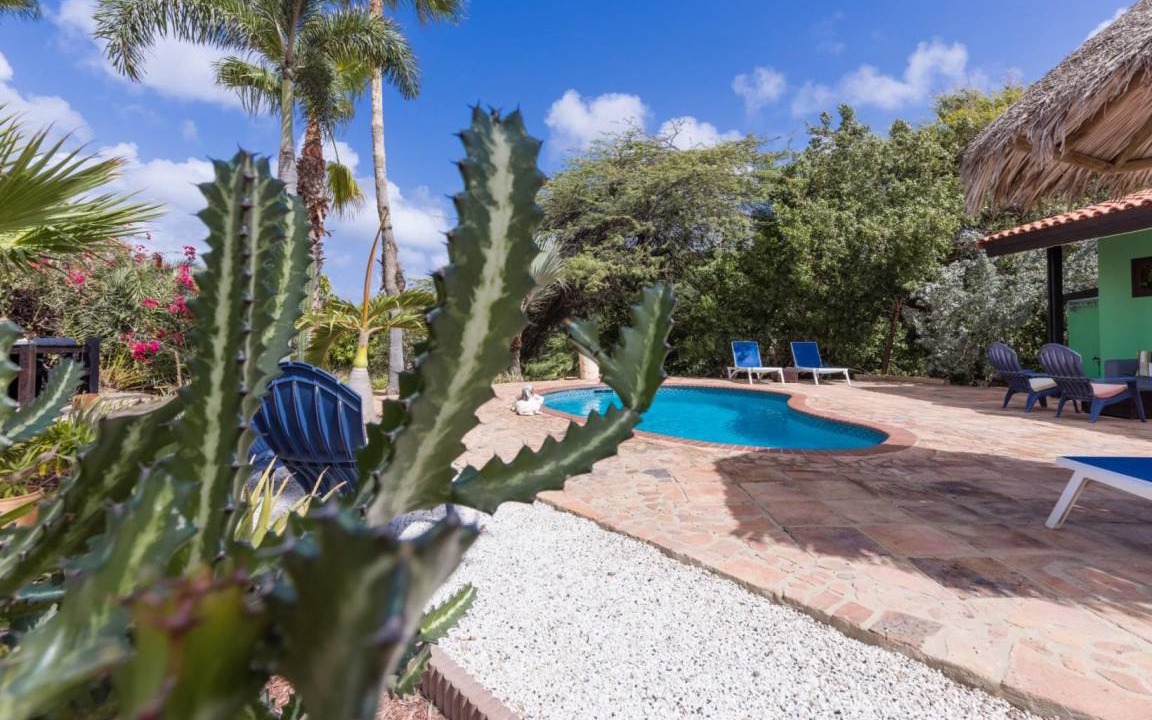 Photo of Outdoor in Tarabana