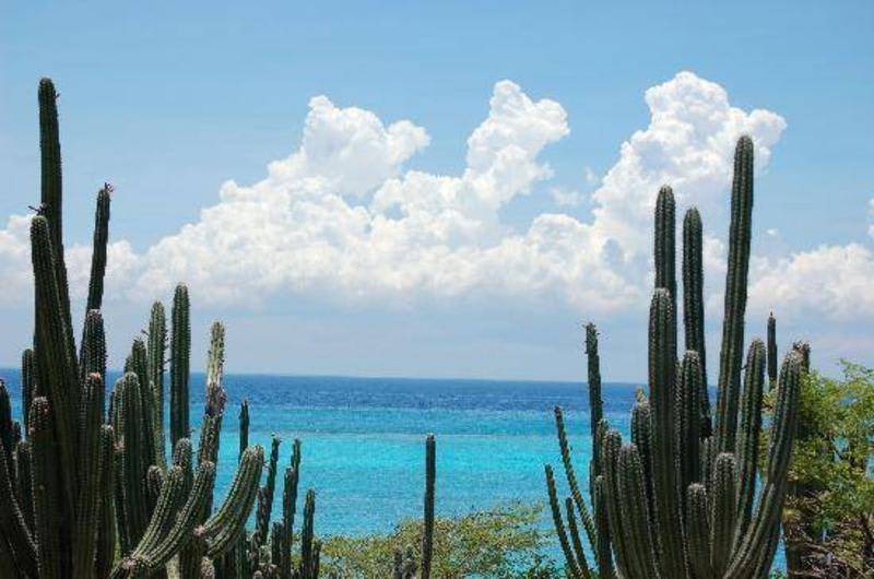 Photo of Others in Oranjestad