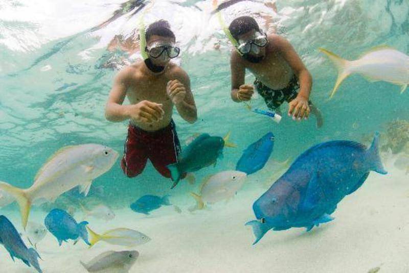 Photo of Others in Oranjestad