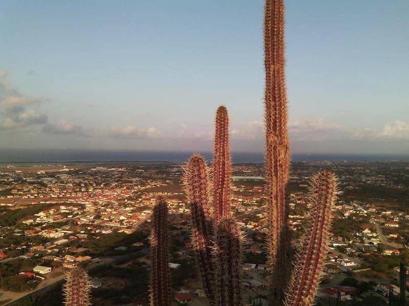 Photo of Others in Oranjestad