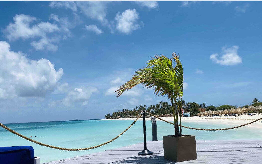 Photo of Outdoor in Oranjestad-West