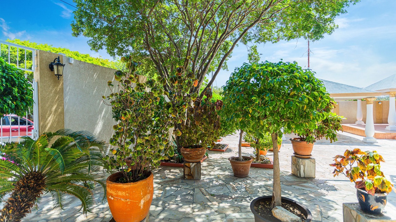 Photo of Outdoor in Ponton