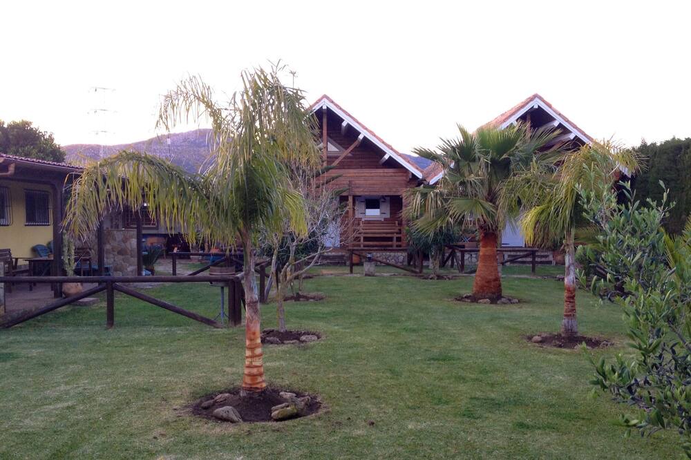 Photo of Outdoor in Tarifa