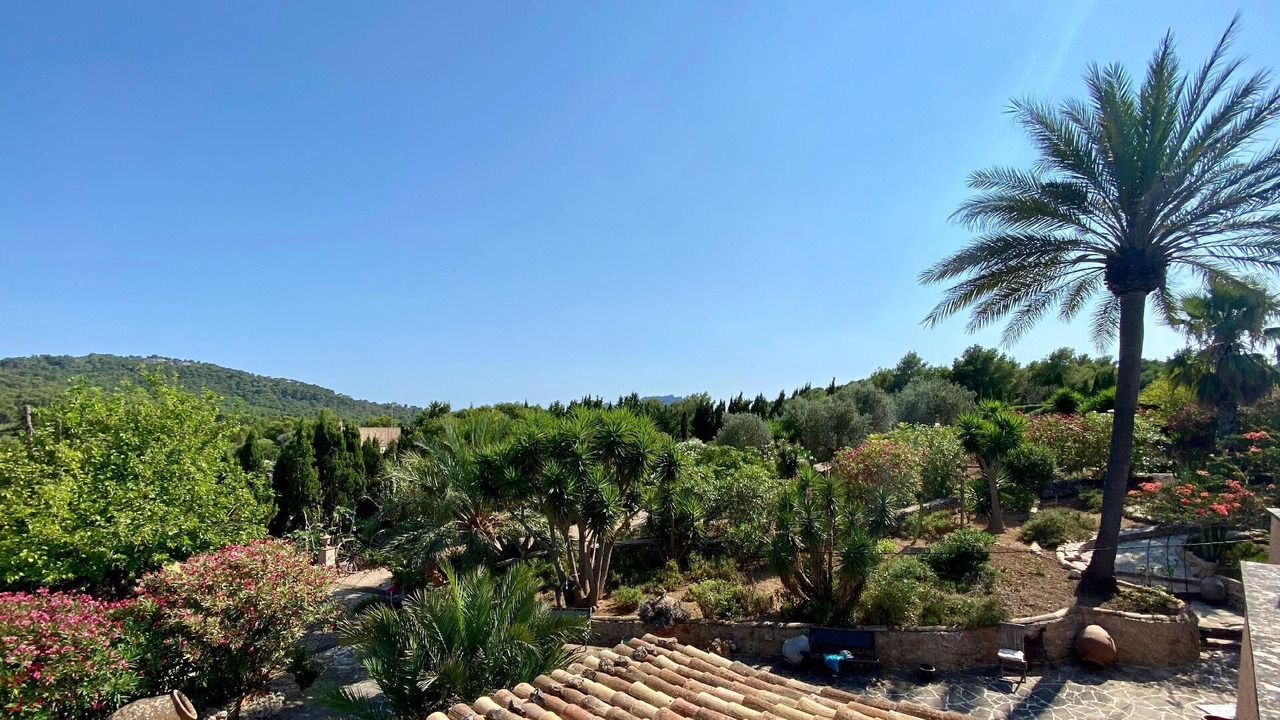 Photo of Outdoor in Son Macia