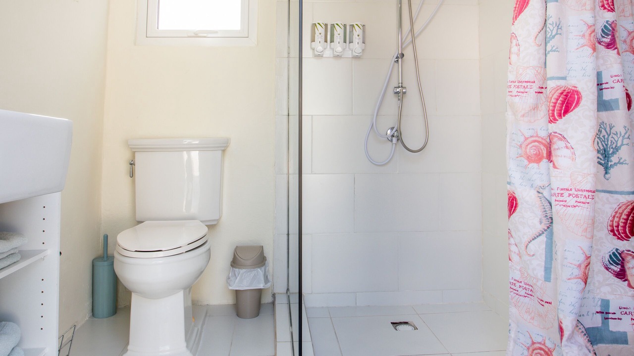 Photo of Bathroom in De Bruynewijk