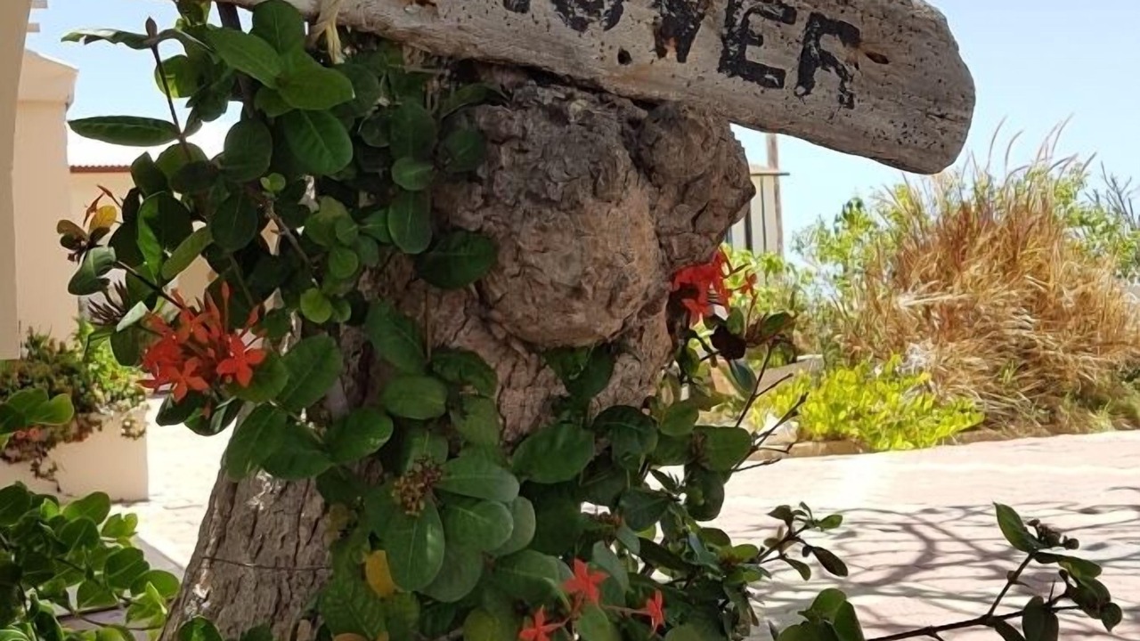 Photo of Outdoor in Hadicurari Beach