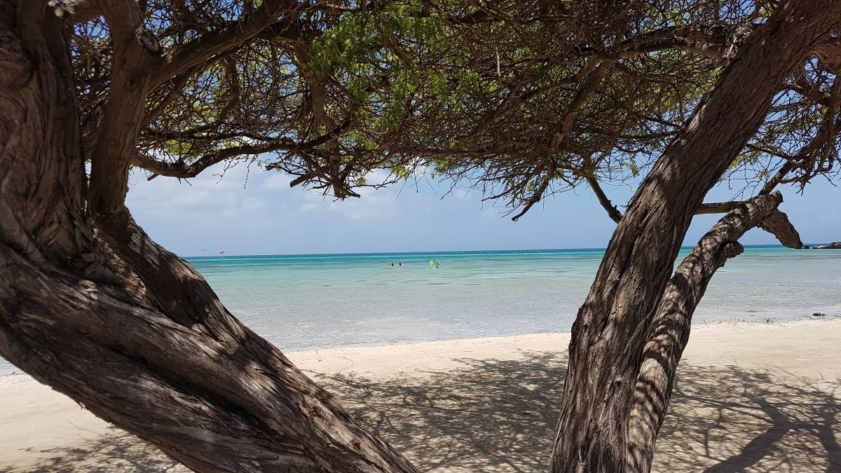 Photo of Outdoor in Hadicurari Beach