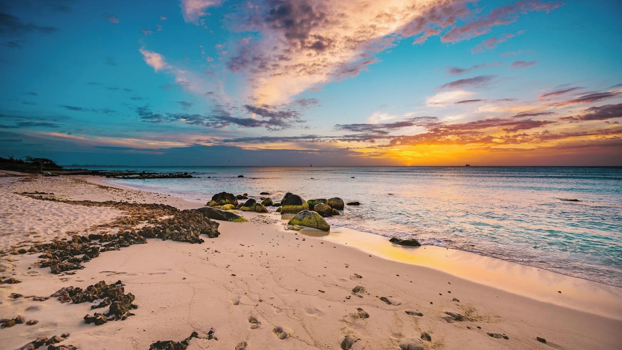 Photo of Others in Gold Coast