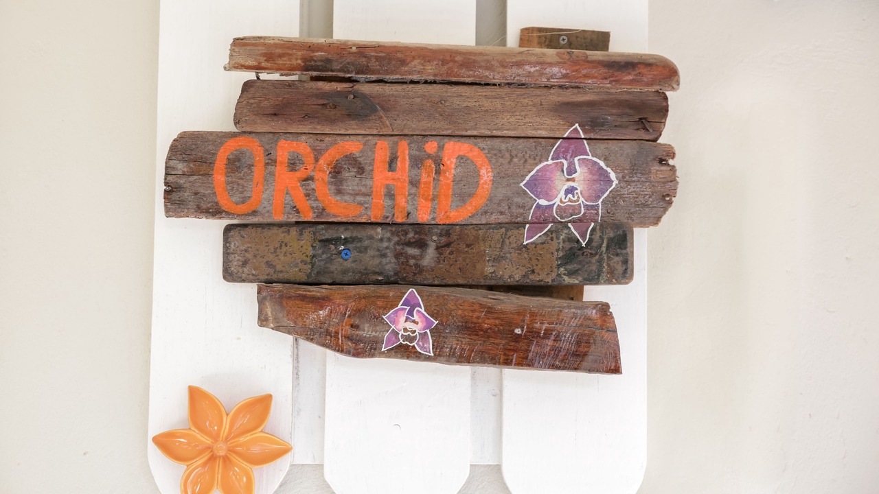 Photo of Outdoor in Opal