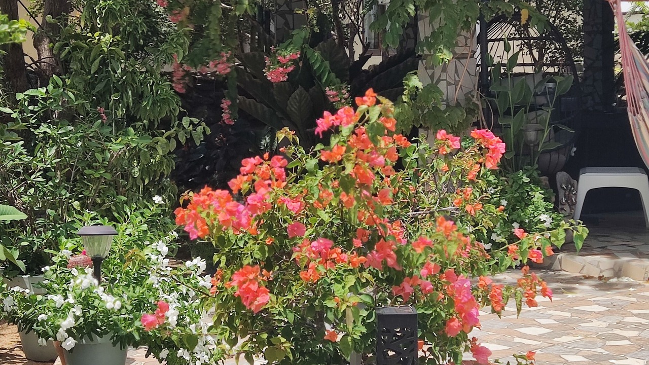 Photo of Outdoor in Cas Ariba