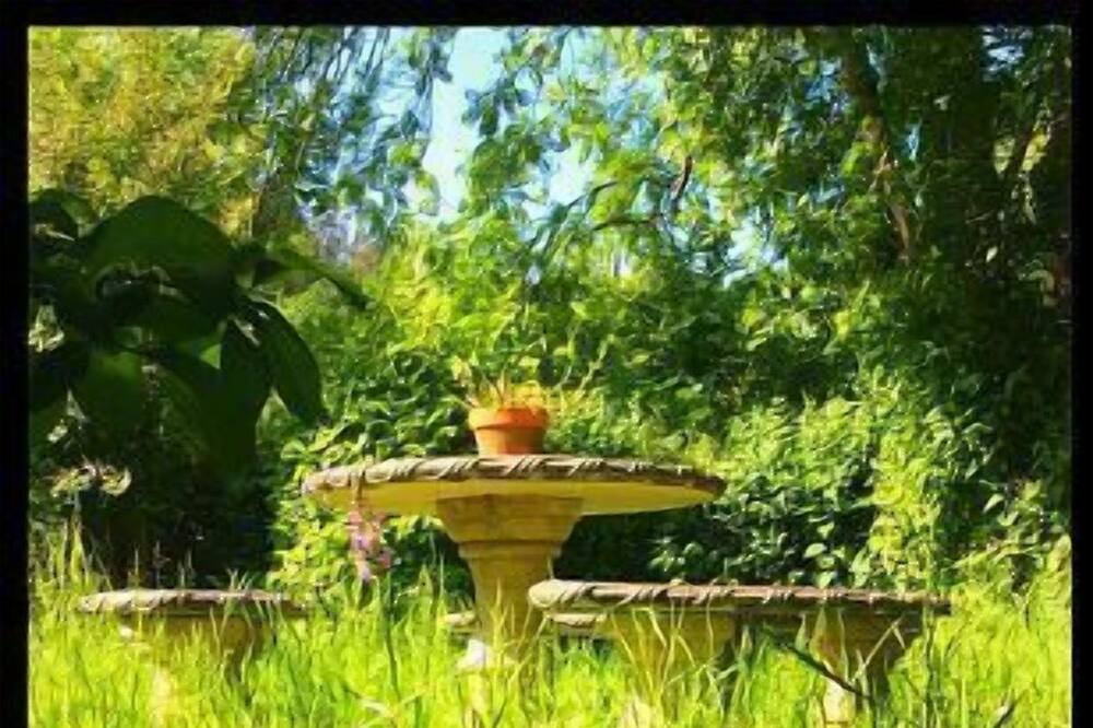 Photo of Outdoor in Llerandi