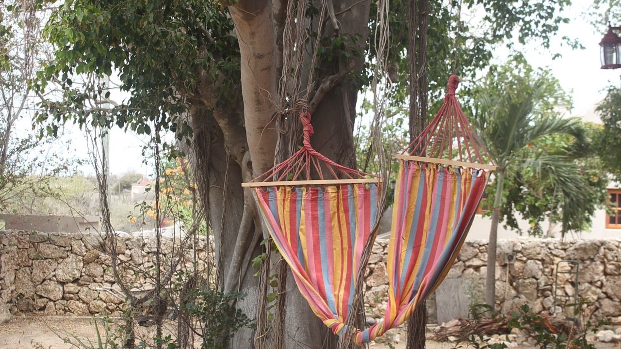Photo of Outdoor in Santa Cruz
