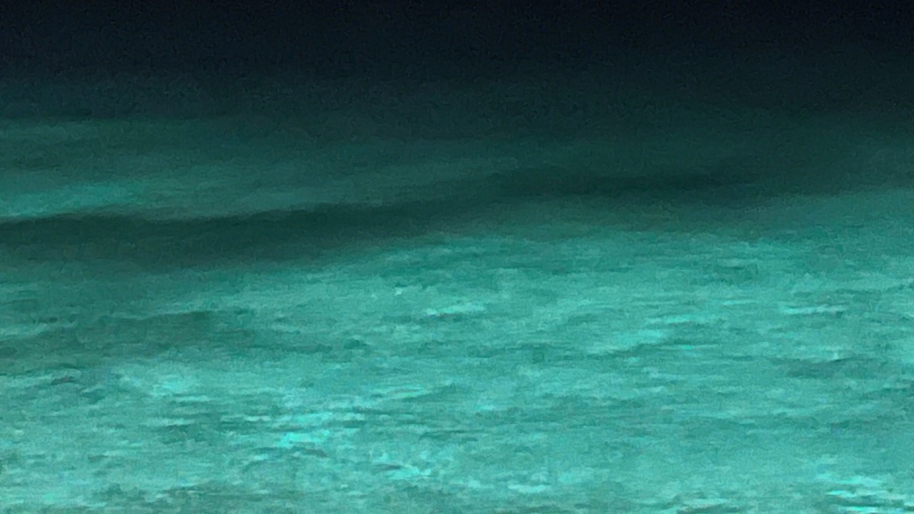 Photo of Others in Opal