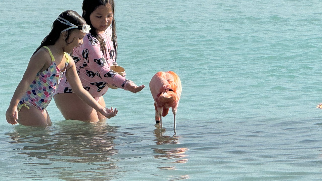 Photo of Others in Rancho