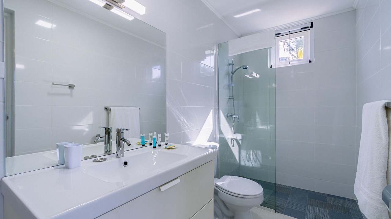 Photo of Bathroom in Alto Vista