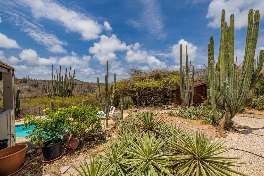 Photo of Outdoor in San Fuego