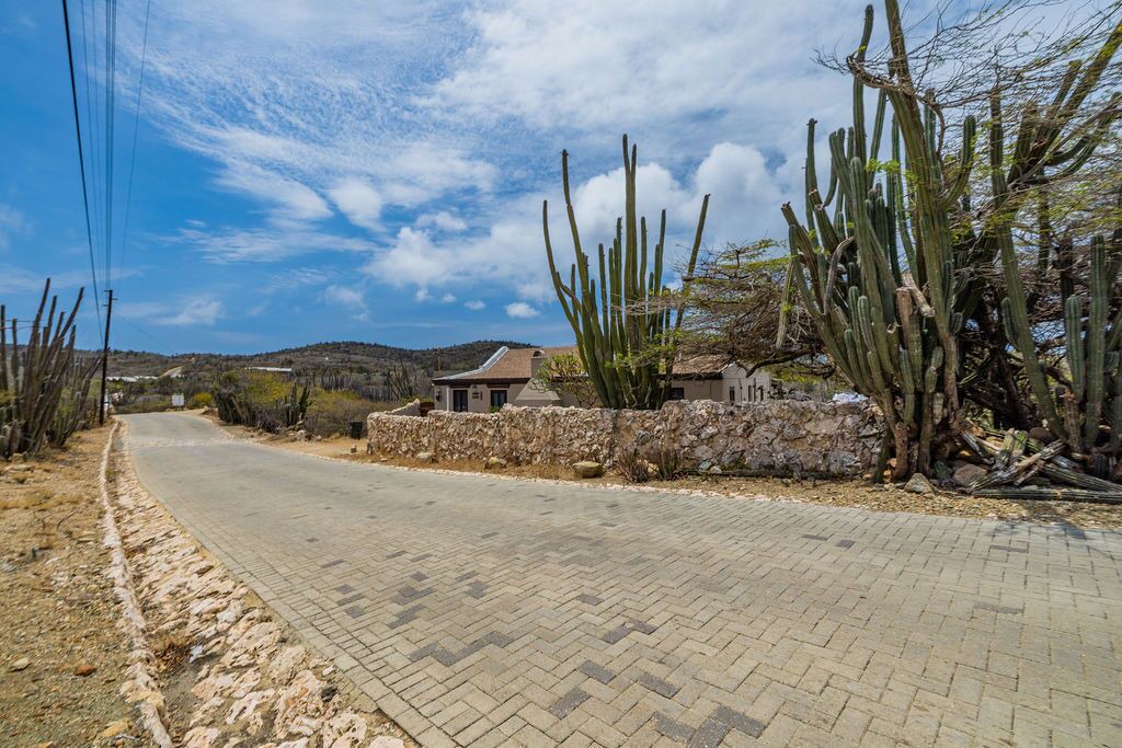 Photo of Outdoor in San Fuego