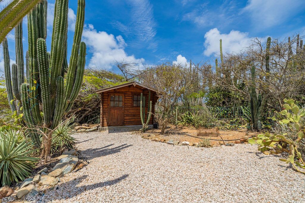 Photo of Outdoor in San Fuego