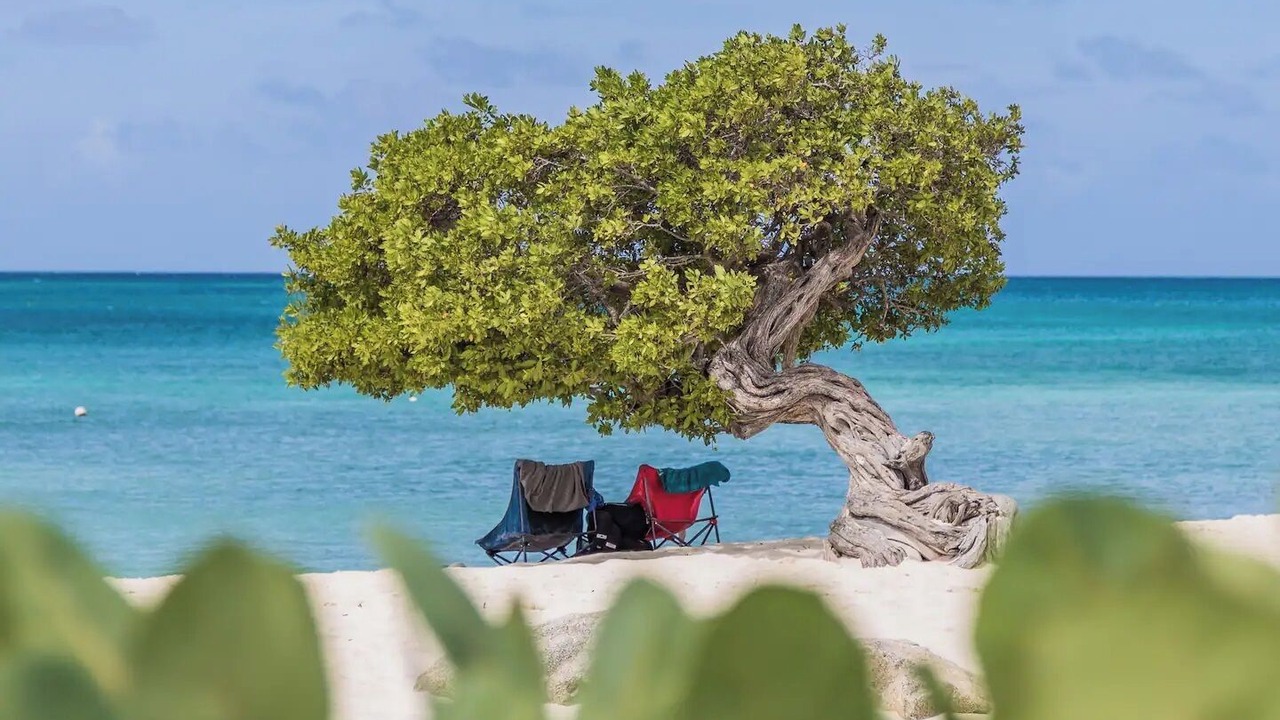 Photo of Others in Oranjestad