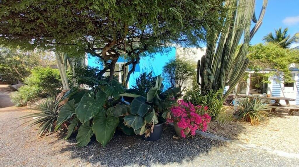 Photo of Outdoor in Shiribana