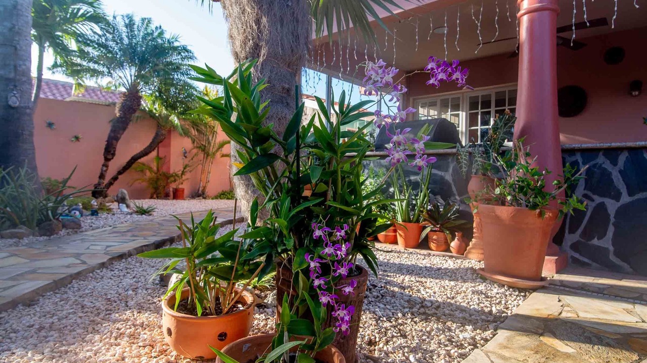Photo of Outdoor in Paradera