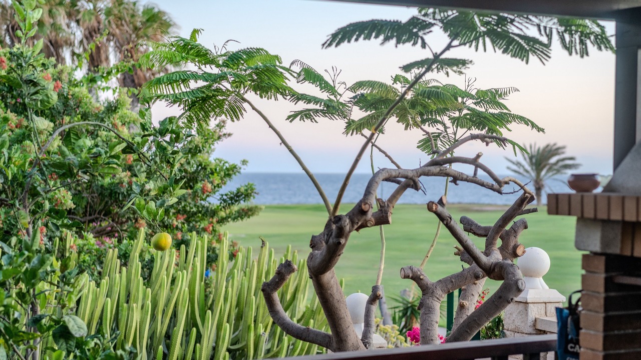 Photo of Outdoor in Complejo turistico Amarilla Golf
