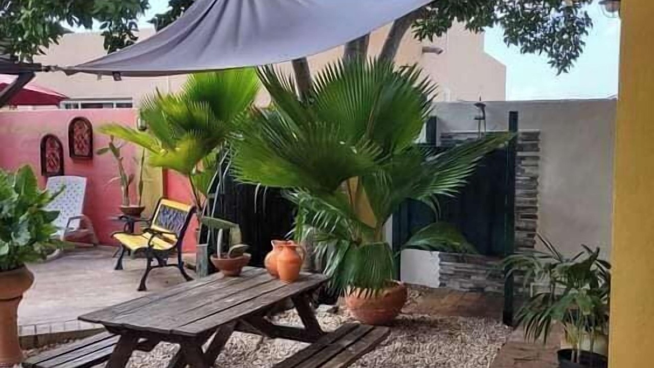 Photo of Outdoor in Savaneta