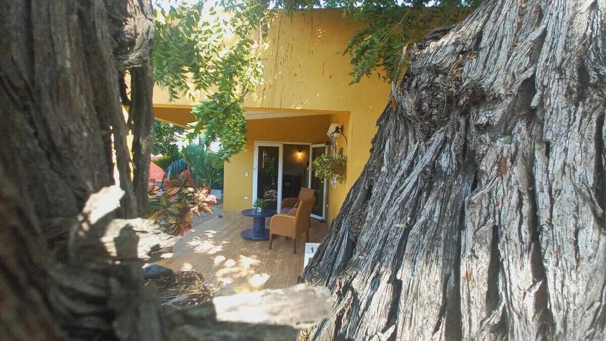 Photo of Outdoor in Savaneta