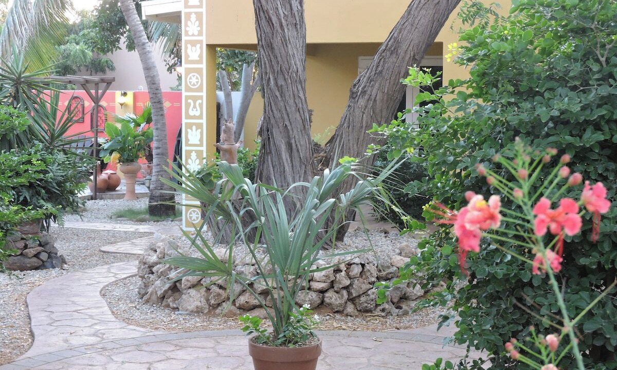 Photo of Outdoor in Savaneta