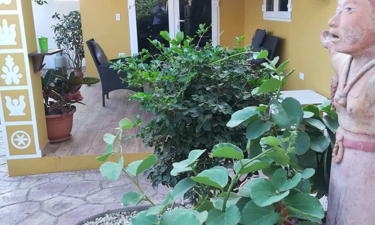 Photo of Outdoor in Savaneta