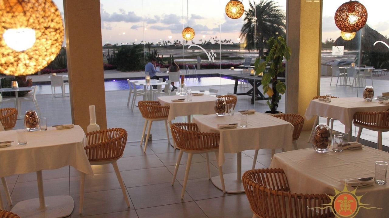 Photo of Outdoor in Gold Coast