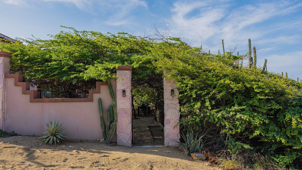 Photo of Outdoor in San Fuego