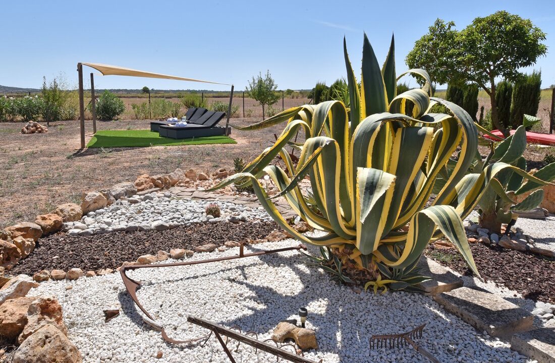 Photo of Outdoor in Es Palmer