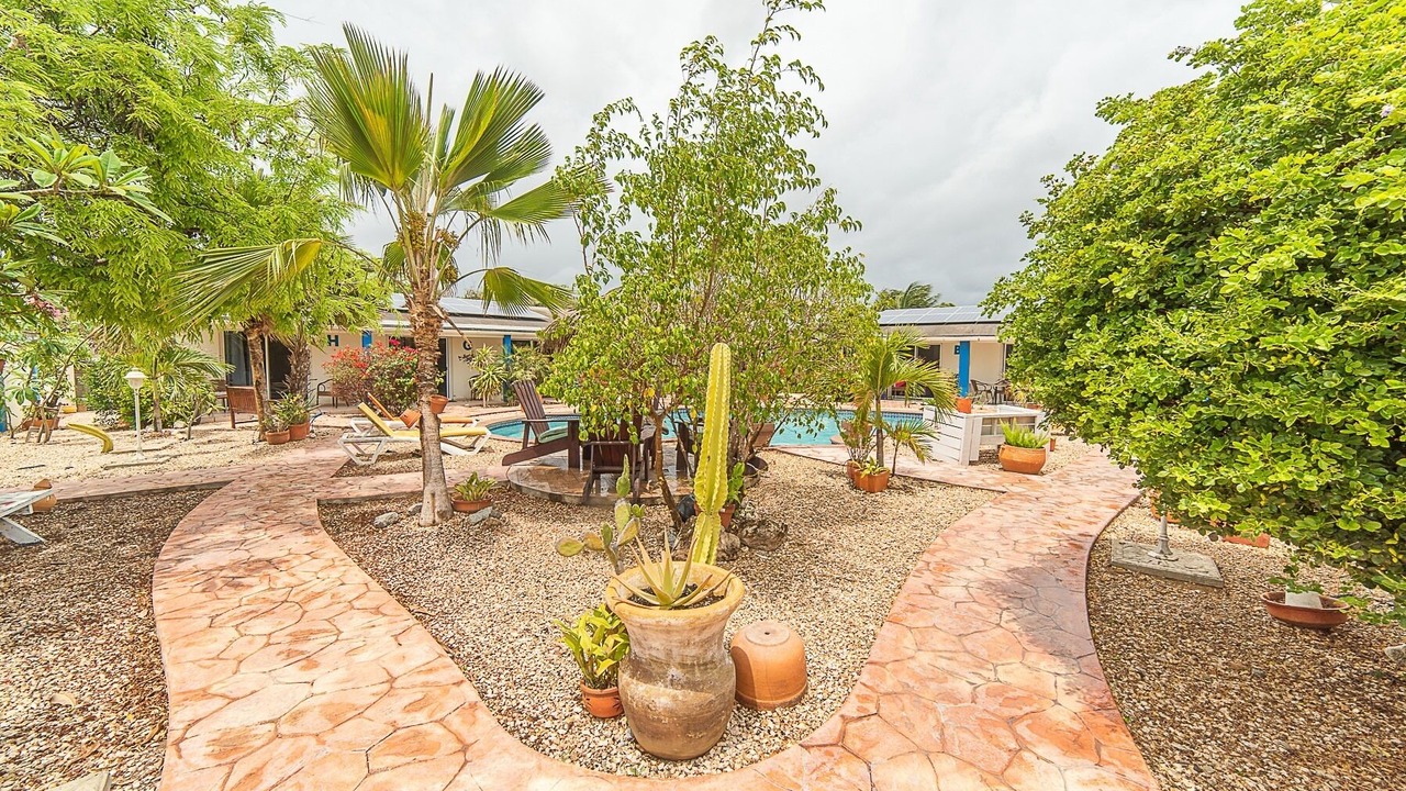 Photo of Outdoor in Wayaka