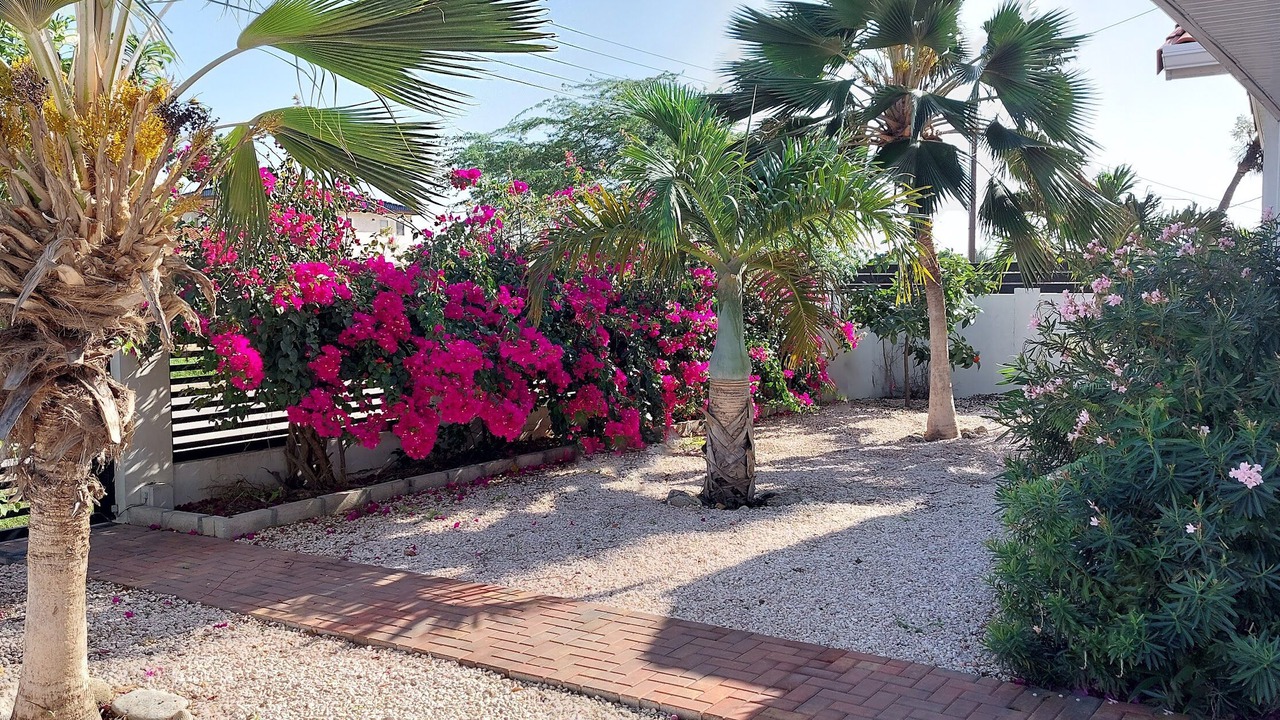 Photo of Outdoor in Ponton
