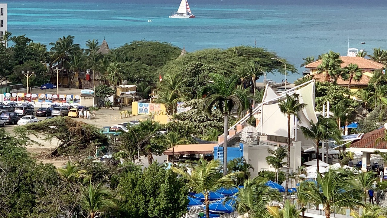 Photo of Outdoor in Palm Beach