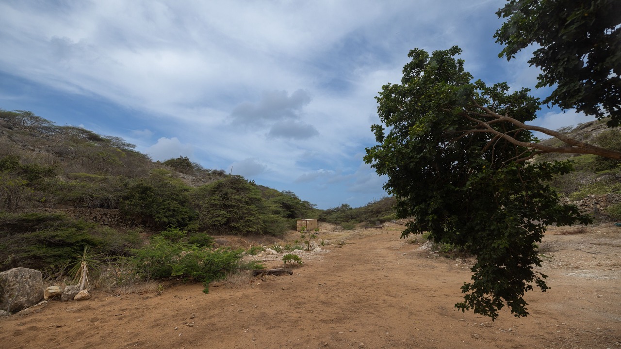 Photo of Outdoor in Savaneta