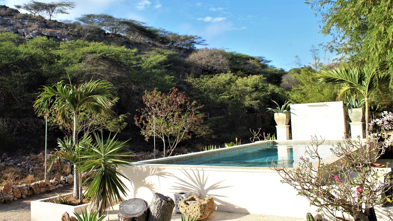 Photo of Outdoor in Savaneta