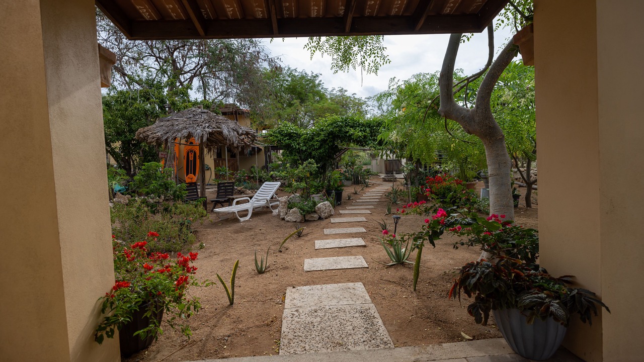 Photo of Outdoor in Savaneta